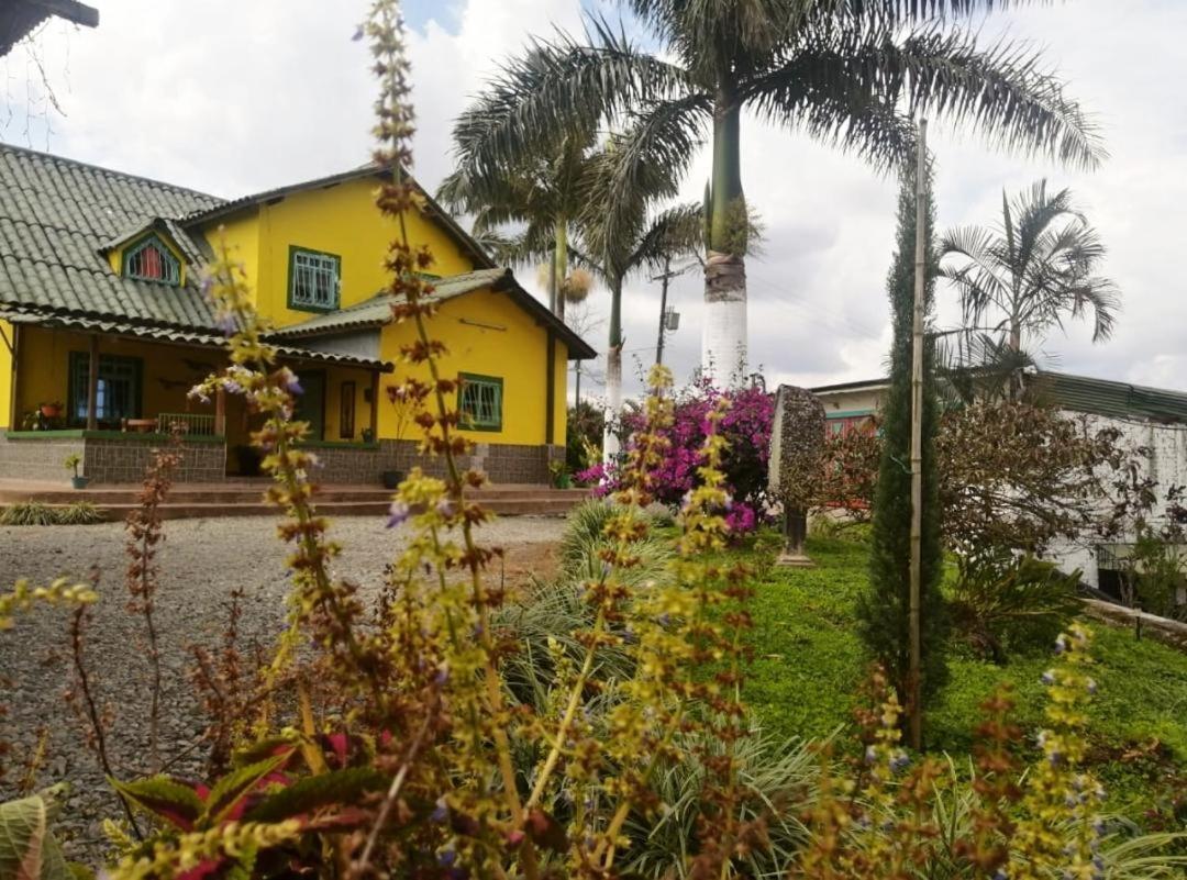 Finca Turistica Santa Clara Hostel Calarcá Kültér fotó