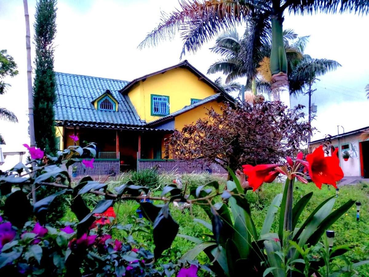 Finca Turistica Santa Clara Hostel Calarcá Kültér fotó