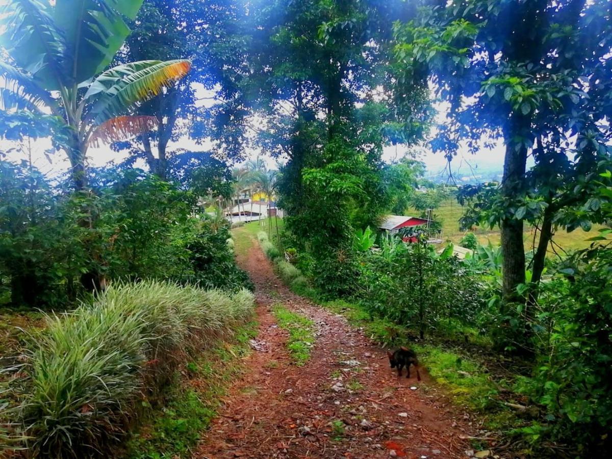 Finca Turistica Santa Clara Hostel Calarcá Kültér fotó
