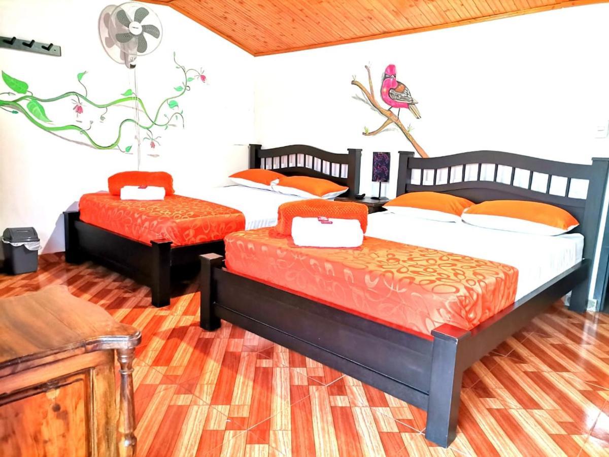 Finca Turistica Santa Clara Hostel Calarcá Kültér fotó
