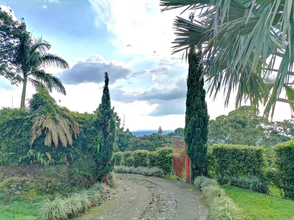 Finca Turistica Santa Clara Hostel Calarcá Kültér fotó