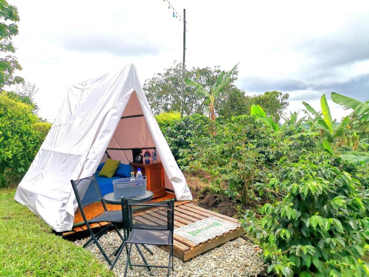 Finca Turistica Santa Clara Hostel Calarcá Kültér fotó