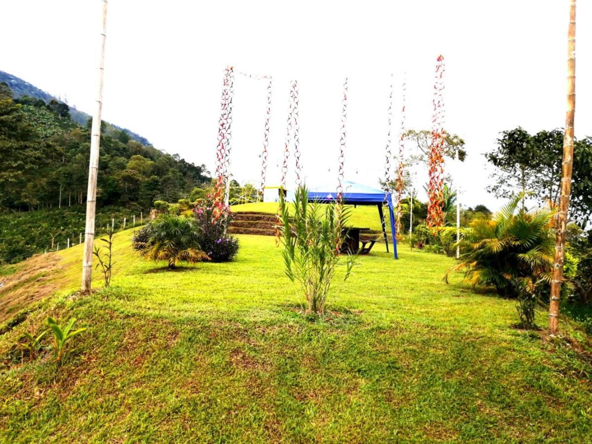 Finca Turistica Santa Clara Hostel Calarcá Kültér fotó